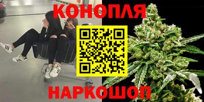 ешки Славянск-на-Кубани