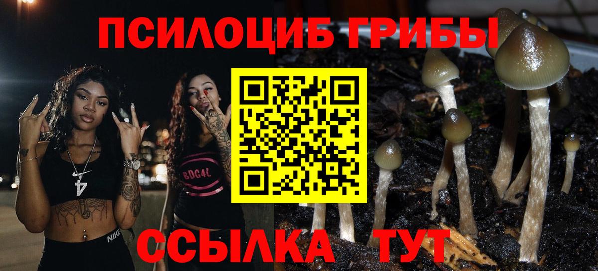 Галлюциногенные грибы GOLDEN TEACHER  Вход с VPN  Ноябрьск 